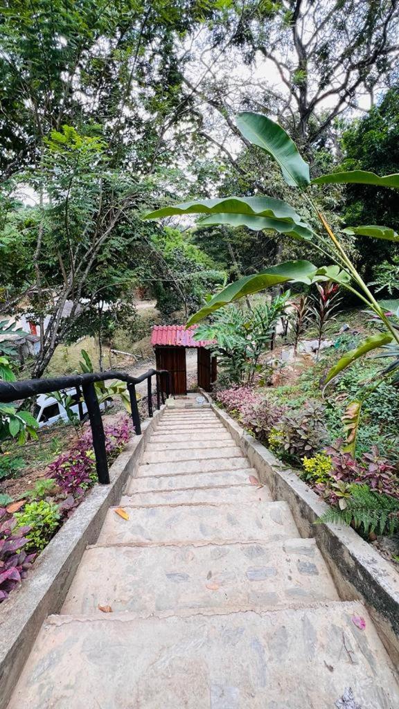 Minca Cabana La Roca Santa Marta  Exterior foto